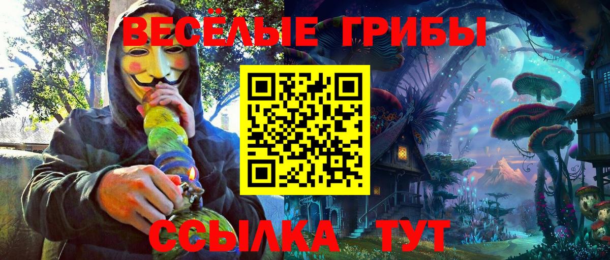 Галлюциногенные грибы прущие грибы Заводоуковск
